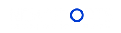 LOGO NS BLANC